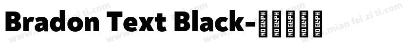Bradon Text Black字体转换